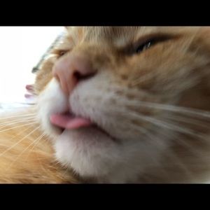 Meet your Posher, Paris